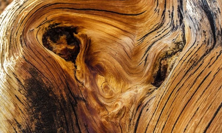 Слэб кипариса