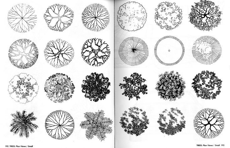 Стаффаж антураж деревья сверху