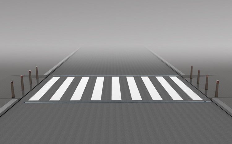 Зебра на дороге