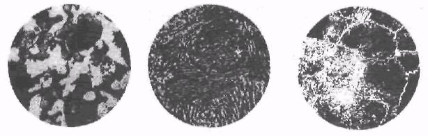 Эвтектоидный чугун