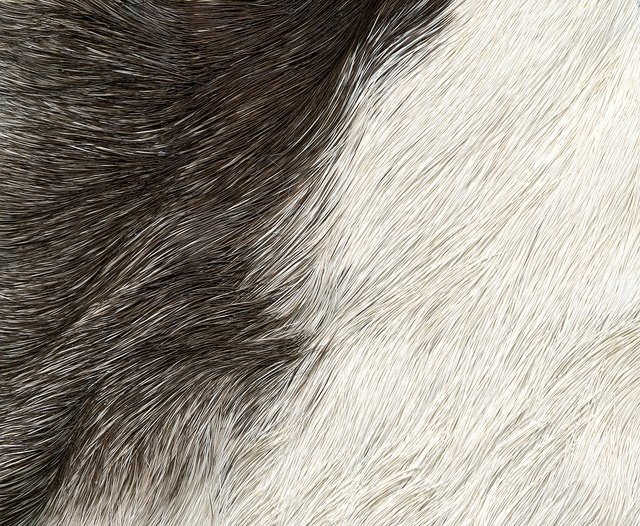 Мех фактура