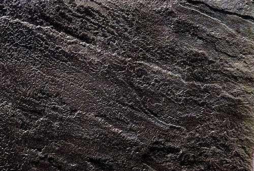 Каменный шпон canis