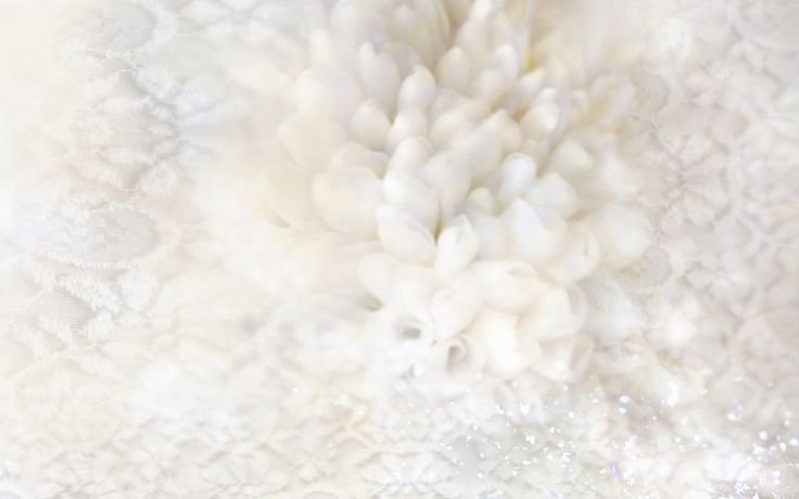 Светлый фон