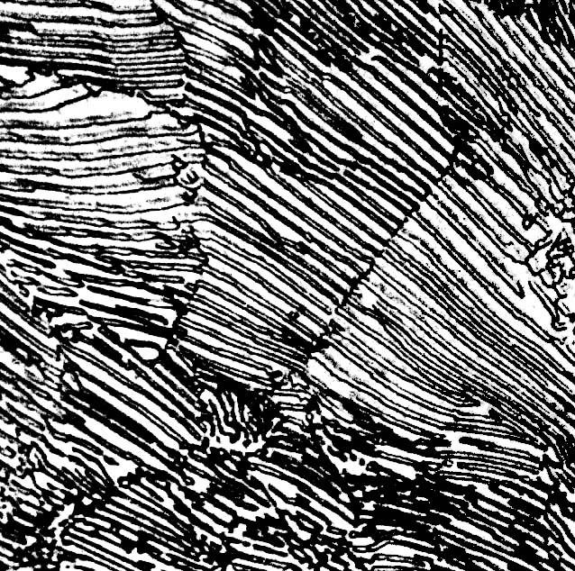 Структурно Свободный цементит