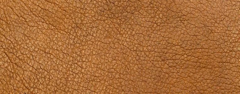 Шкура текстура