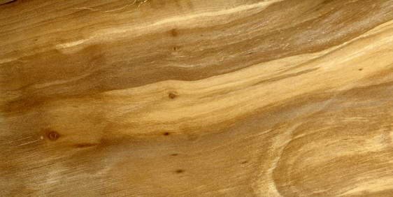 Яблоня текстура