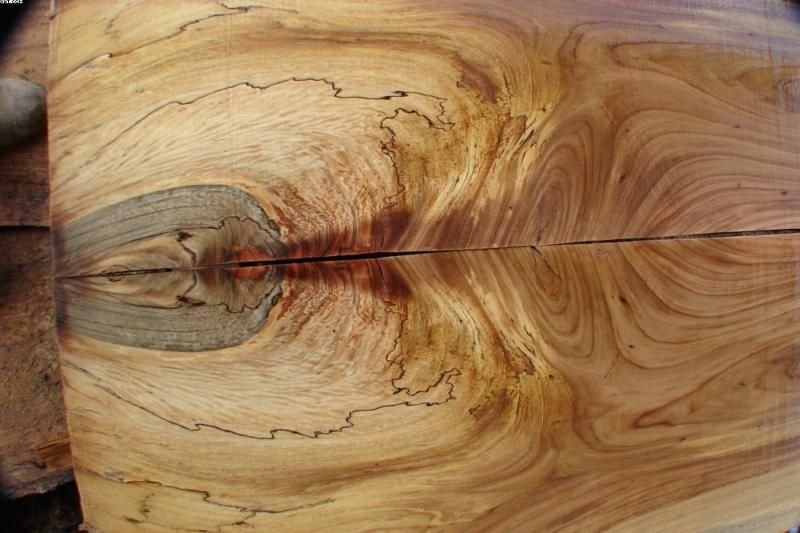 Слэб яблони