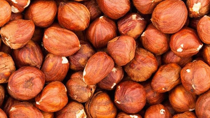 Фундук текстура