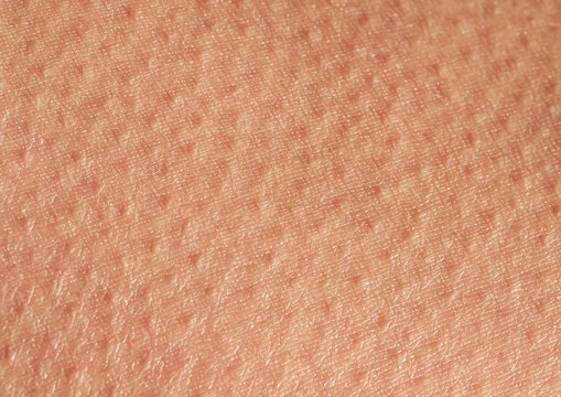 Фактура человеческой кожи