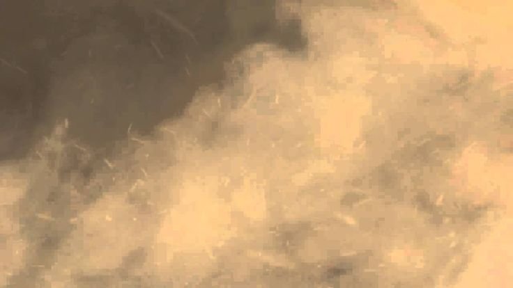 Облако пыли