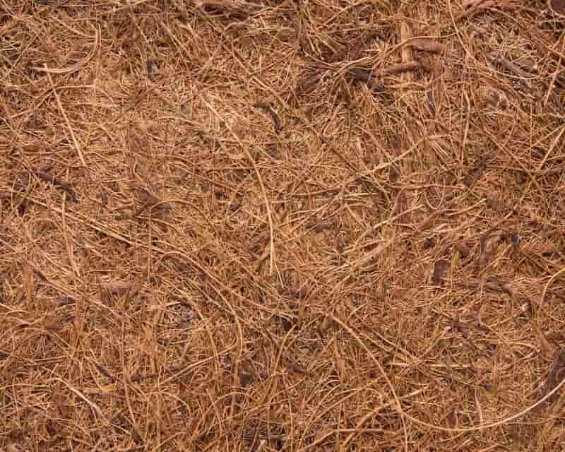 Кокосовое волокно Коконут