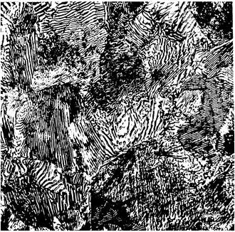 Микроструктура эвтектоидной стали