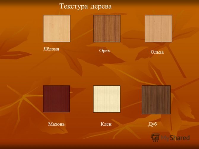 Ольха текстура древесины