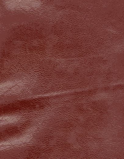 шагреневая кожа