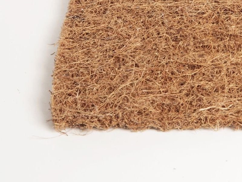 Кокосовая койра