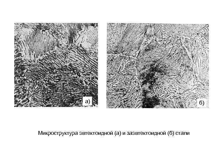 Микроструктура эвтектоидной стали перлит