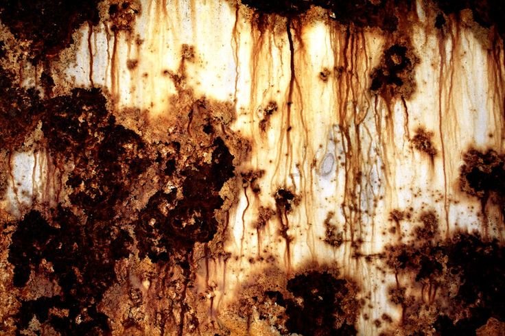 Текстура гниющей стены