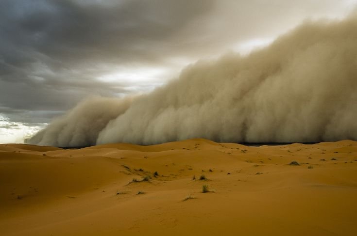 Самум ветер пустыни