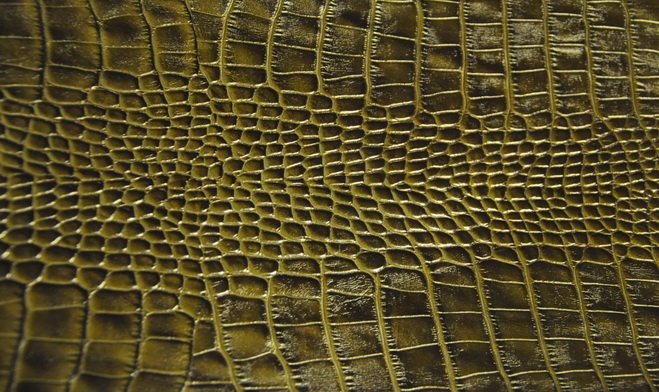 «Кожа крокодила»
