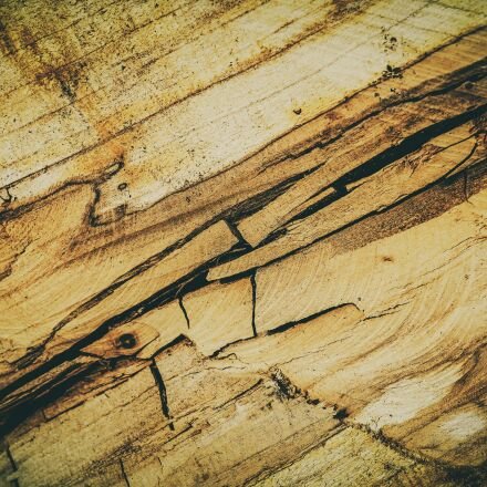 Текстура дерева