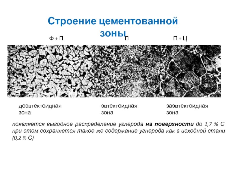 Доэвтектоидная структура