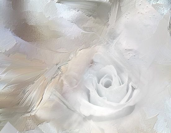 Светлый фон