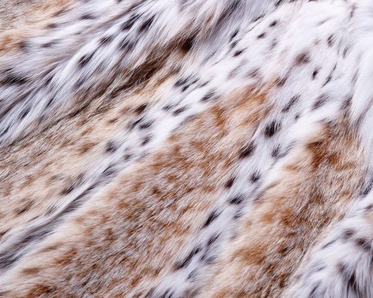 Эко шуба Рысь