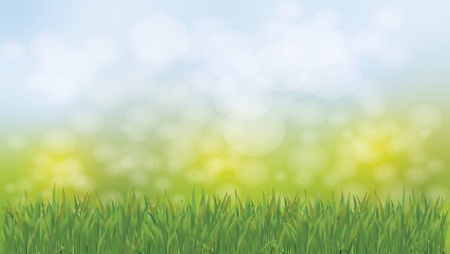 Трава и небо