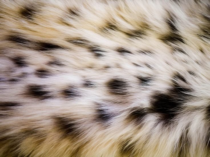 Фактура шерсти животных