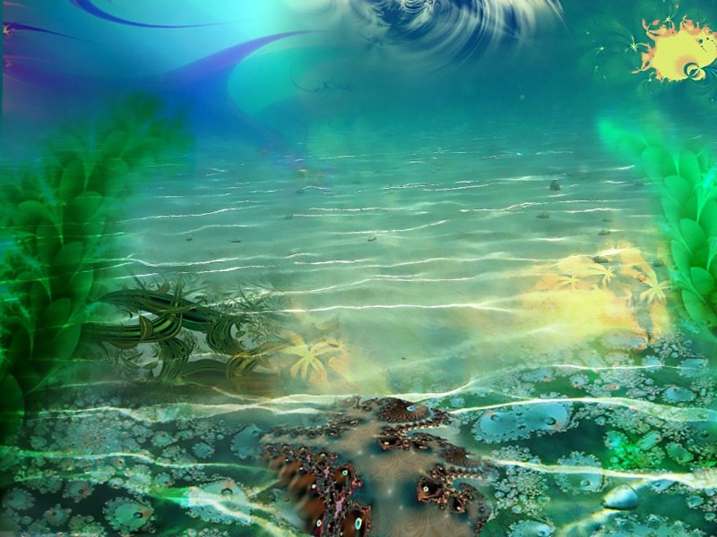 Подводные пейзажи