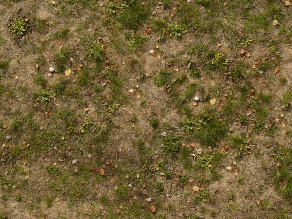 Текстура травы