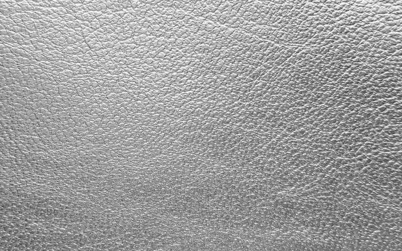 Серебряная кожа