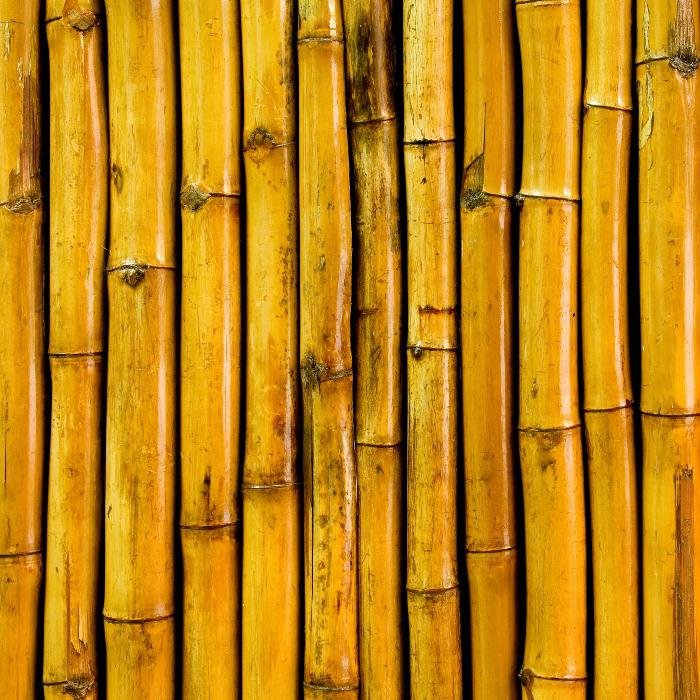 Бамбуковое дерево