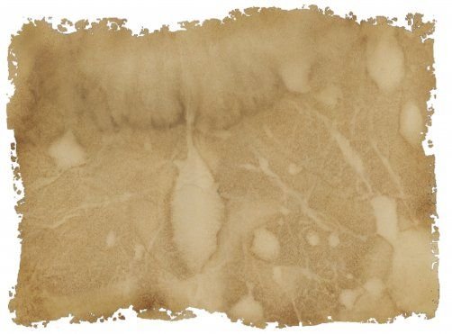 Рваный край бумаги