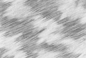 Текстура меха карандашом