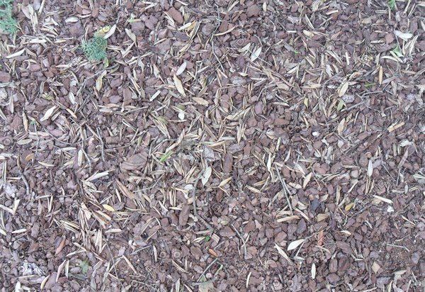 Мульча текстура