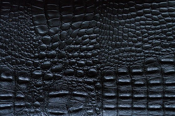 Черная кожа каймана