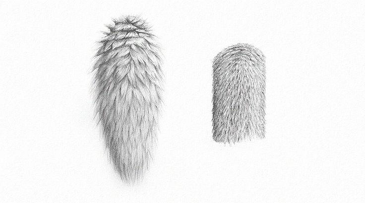 Шерсть карандашом
