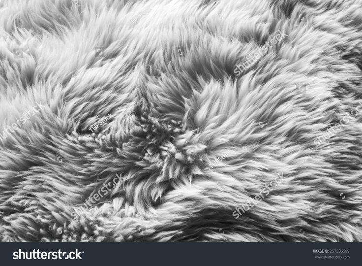 Фактура шерсти карандашом
