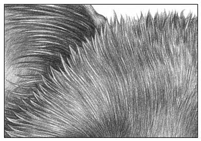 Фактура карандашом