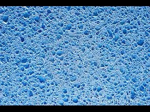 Фактура губки