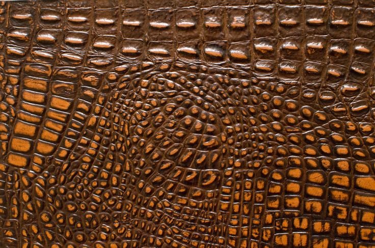 «Кожа крокодила»