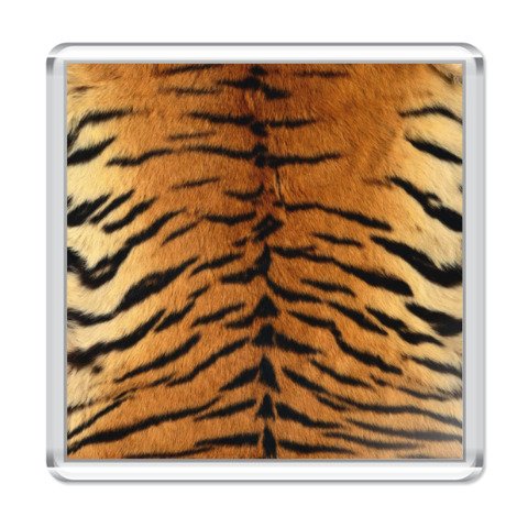 Тигровая шкура