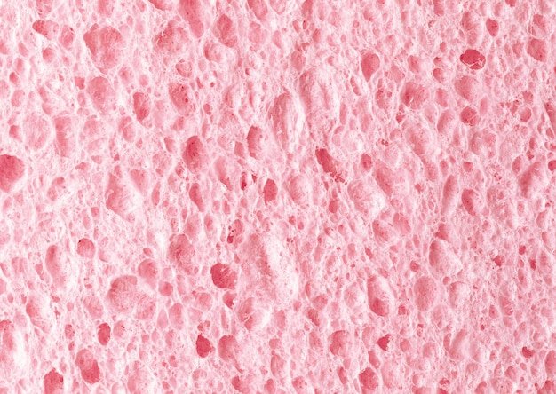 Текстура губки