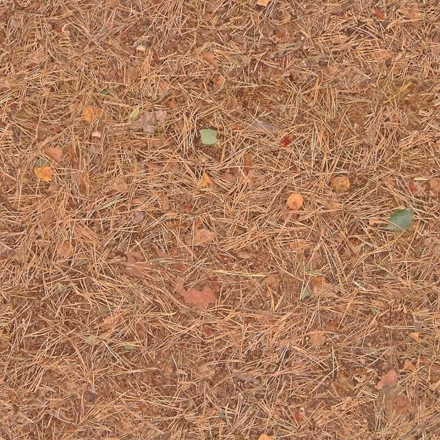 Текстура травы