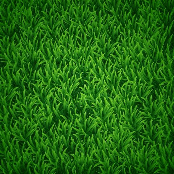 Текстура травы
