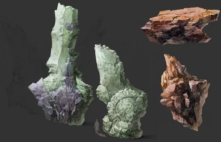 Текстура хитина