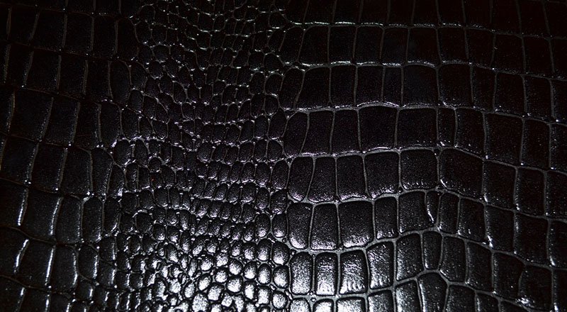 Кожа питона черная