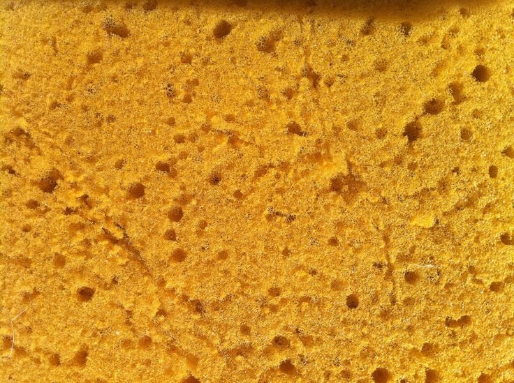 Текстура губки