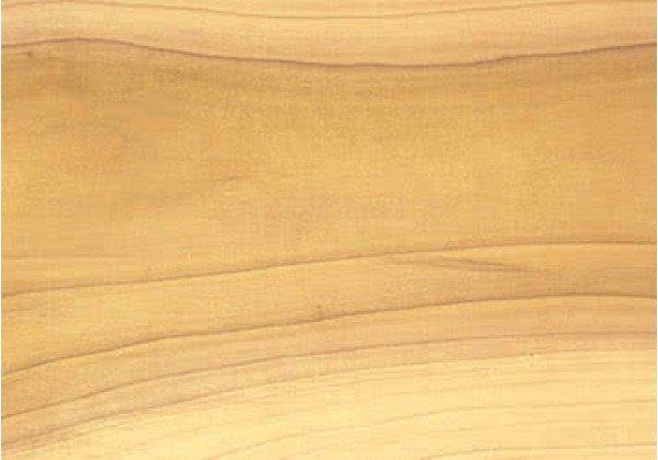 Текстура дерева